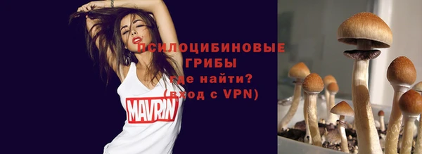 Альфа ПВП Новодвинск