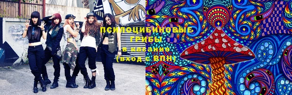 МДПВ Нефтегорск