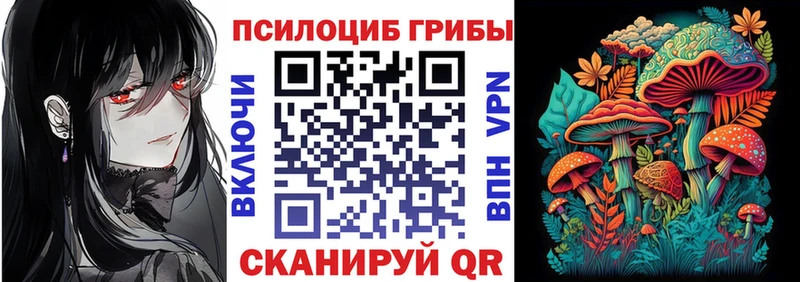 Псилоцибиновые грибы прущие грибы  цена   Грозный 