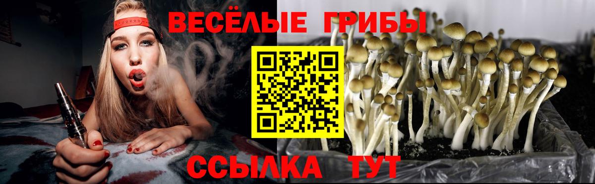 купить   Вход с VPN  Грозный  Псилоцибиновые грибы Psilocybe 