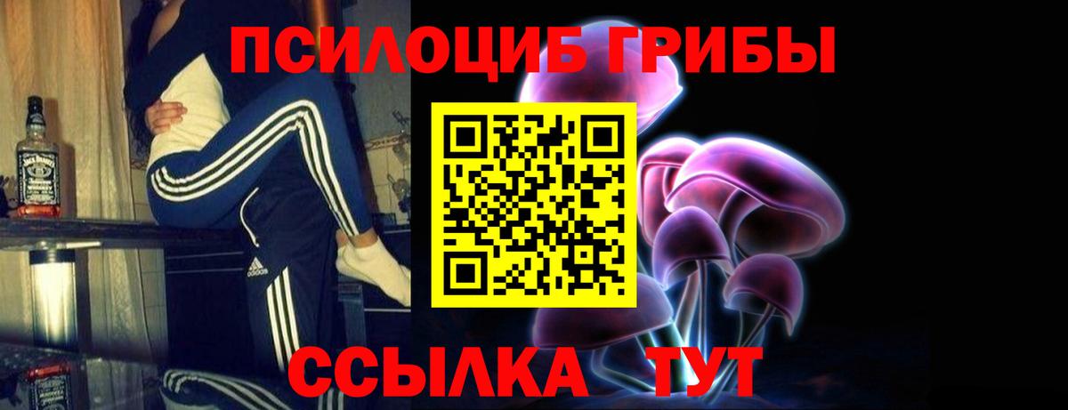 Псилоцибиновые грибы Cubensis Грозный