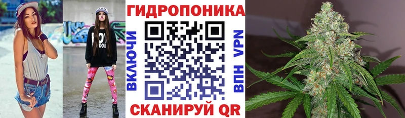 Каннабис план  сколько стоит  Грозный 