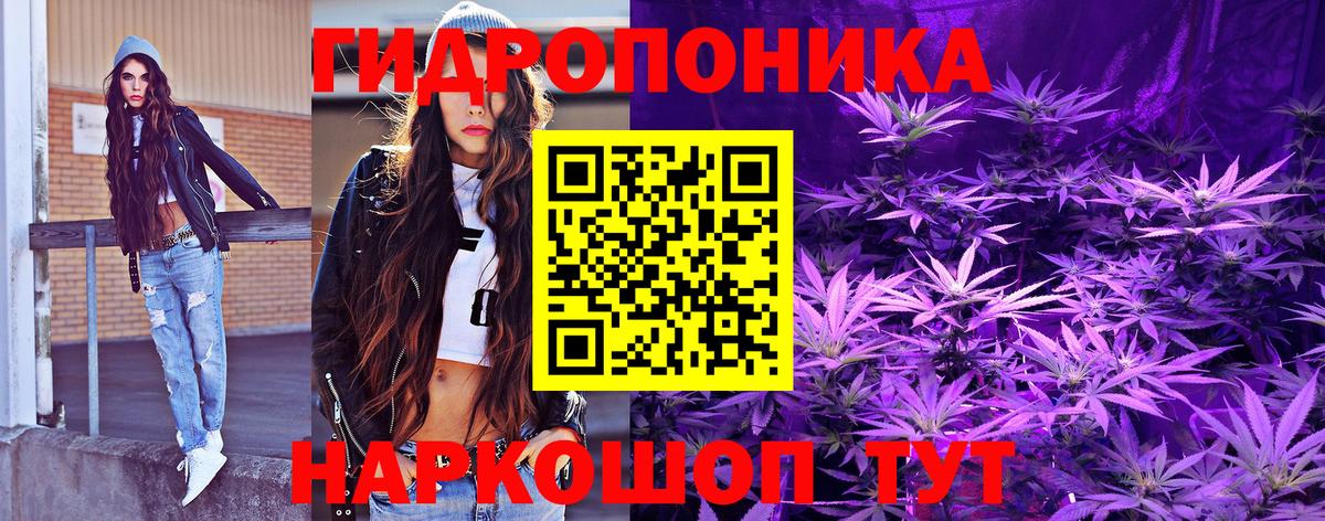 Шишки марихуана OG Kush  Вход с VPN  Грозный  Шишки марихуана индика 